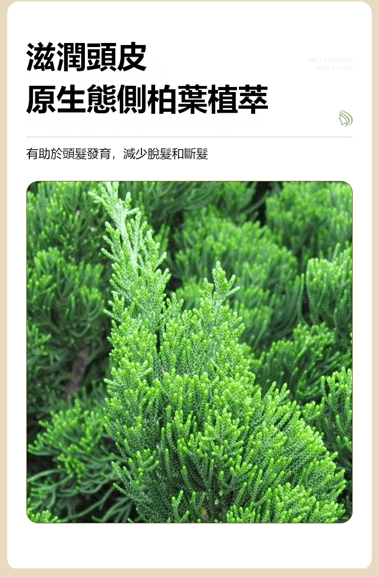 育草堂草本防脫育髮洗髮露